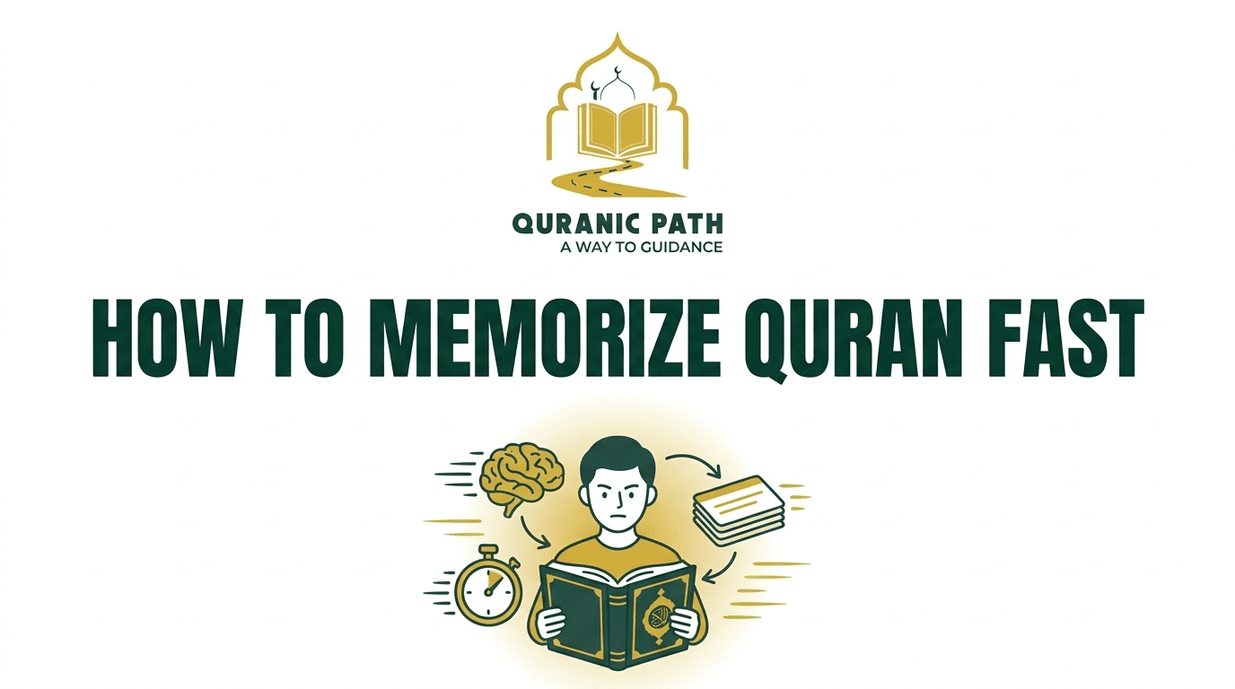 Memorize Quran Fast — Quranic Path
