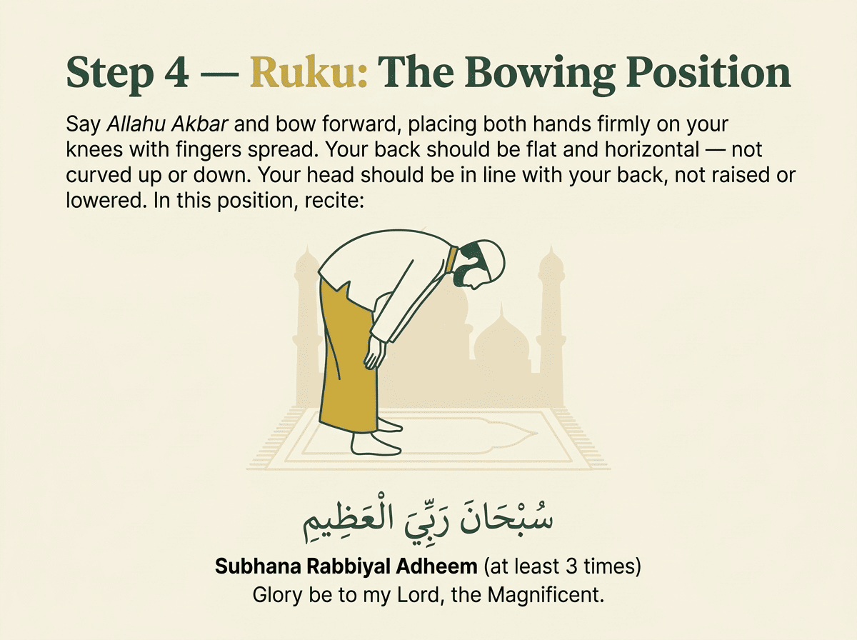 Ruku — bowing with a flat back, hands on knees